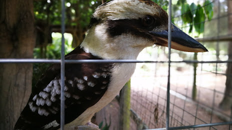 Birdland Animal Park, Батманс Бэй