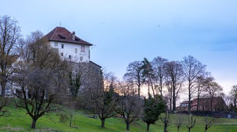 Mörsburg castle, 