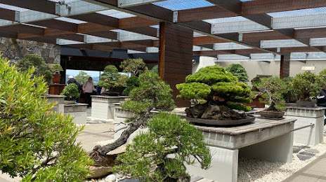 The National Bonsai and Penjing Collection, 