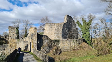 Burg Nippenburg, Швибердинген