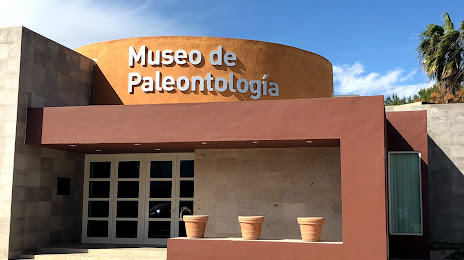 Paleontological Museum Múzquiz, Muzquiz