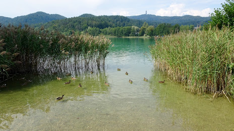 Озеро Койчахер, Клагенфурт