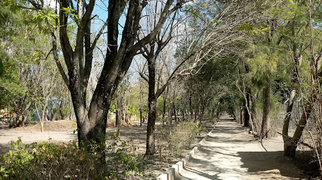 Parque Recreativo Municipal 