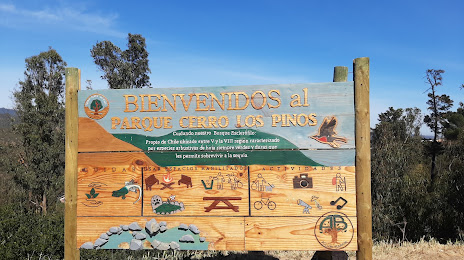 Cerro Los Pinos Natural Park (Parque Natural Cerro Los Pinos), Villa Alemana