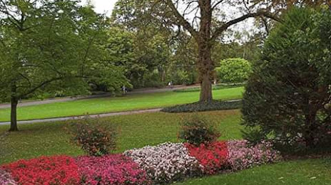 Stadt Park, Wiesbaden