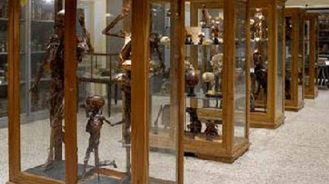 Museo del Instituto de la Anatomía Humana, Pisa
