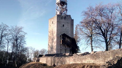 Lichtenberg Castle, Зальцгиттер