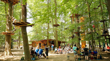 Fun Forest AbenteuerPark Homburg, 