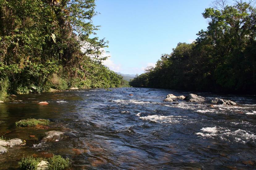 Nhundiaquara River, Antonina