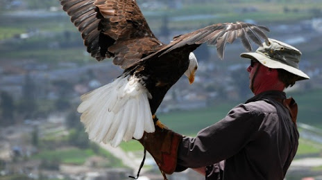 Parque del Condor, Otavalo