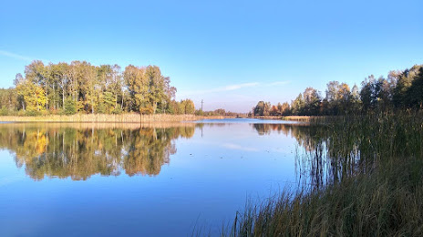 Jezioro Krzywek, 