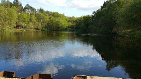 Yateley Common Country Park, Crowthorne
