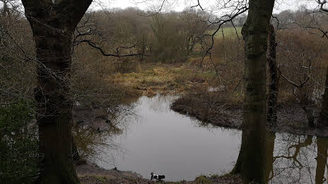 Brotherton Park and Dibbinsdale Local Nature Reserve, 