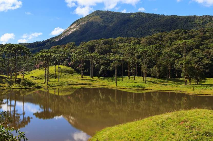 Parque Nacional da Serra da Bocaina, 