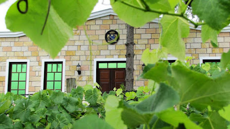 Vinhos e Espumantes Casa Del Nonno | Vitivinícola Urussanga, Urussanga