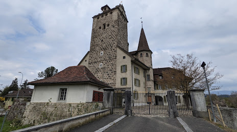 Aarwangen Castle, Лангенталь