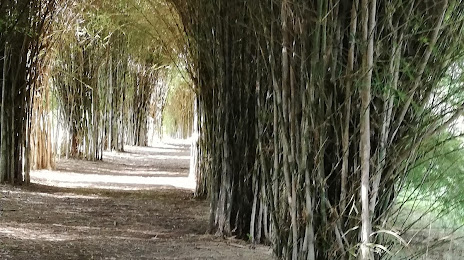El Paraíso del Bambú y La Guadua, 