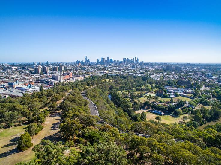 Yarra Bend Park, 