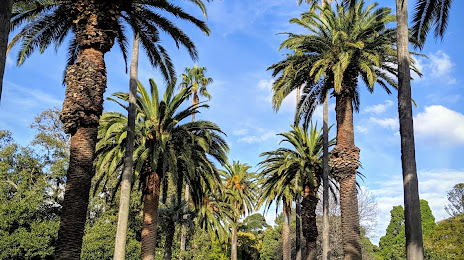 St Kilda Botanical Gardens, 