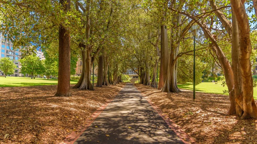 Treasury Gardens, 