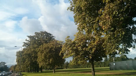 Hampton Court Green, 