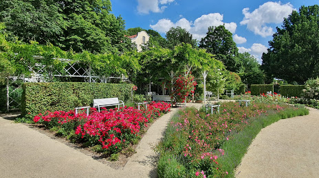 Rose Garden, Coburg, 