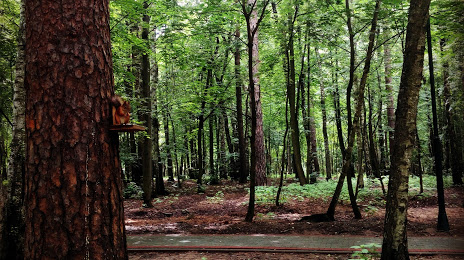 Forest Park Tomilino, Malachowka