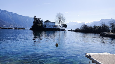 Salagnon Island, Montreux