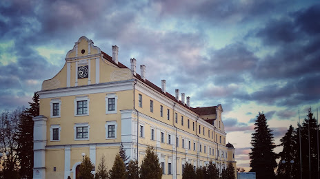 Пинский коллегиум иезуитов, Пинск
