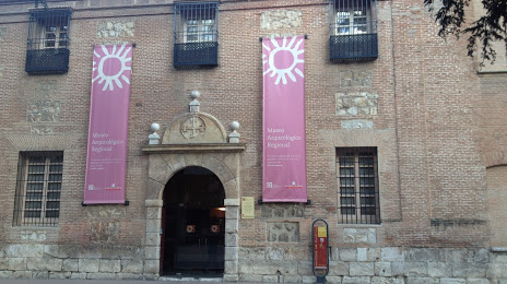 Museo Arqueológico Regional de la Comunidad de Madrid, Alcalá de Henares