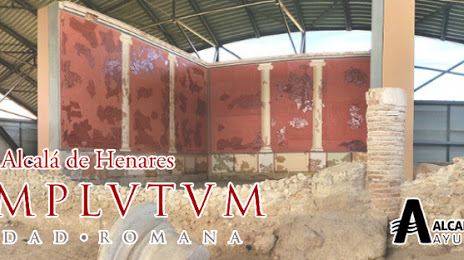 Complutum. Roman city (Complutum. Ciudad Romana), Alcala de Henares