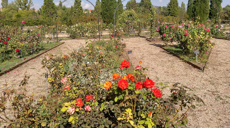 UAH Botanical Garden (Jardin Botanico UAH), Alcala de Henares