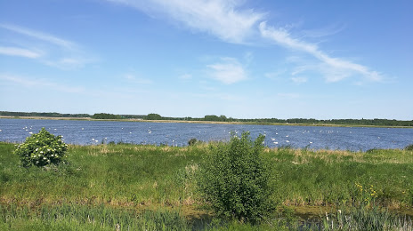 Rietzer See, Brandenburg an der Havel