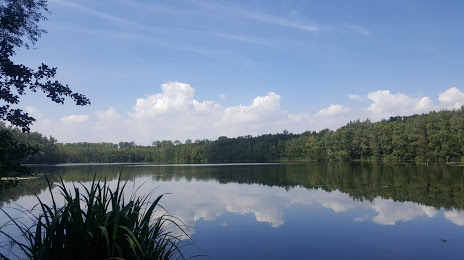 Озеро Диннендаль, Брюль