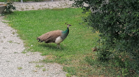 Vogel- und Tierpark Crailsheim e.V., Crailsheim
