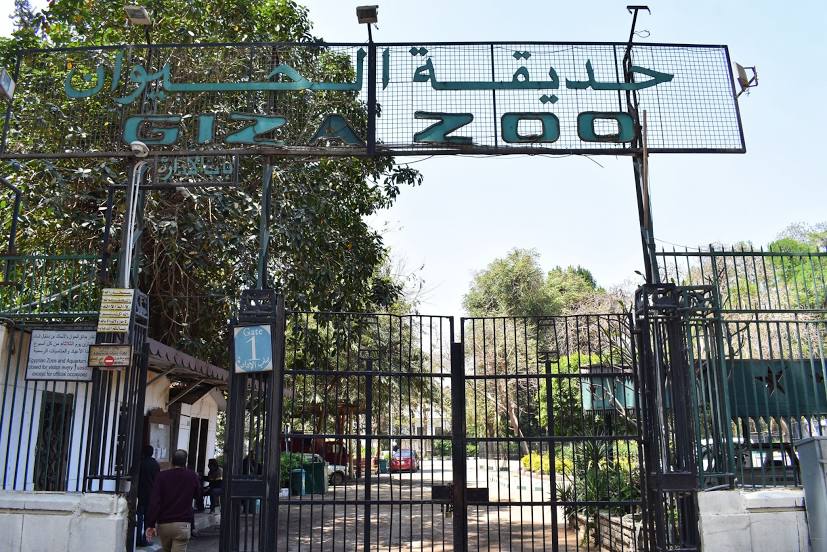 Giza Zoo, 