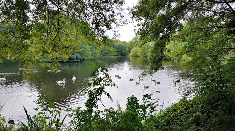 Hill Hook Nature Reserve, Sutton Coldfield