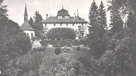 Hilfikon Castle, Wohlen