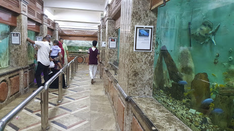 Alexandria Aquarium, 