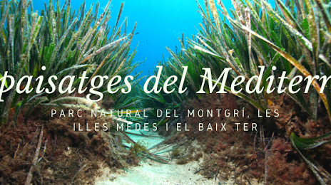 Montgrí, Medes Islands and Baix Ter Natural Park, 
