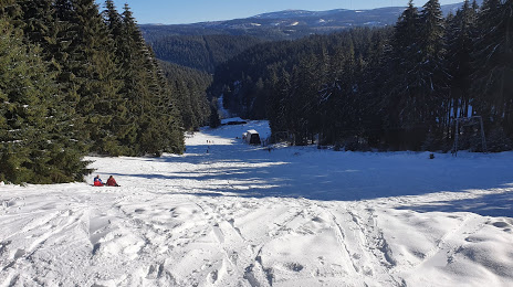 Ski Alpinum Schulenberg, 