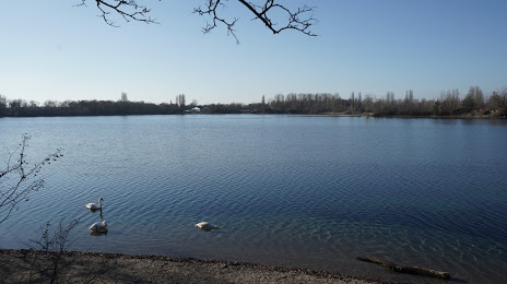 Озеро Гензедрек, Шпайер