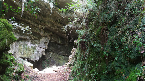 Cueva El Pendo, Santander
