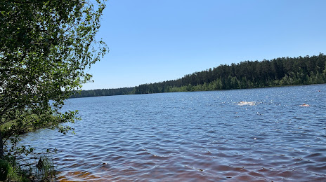 Озеро Щучье, Сестрорецк