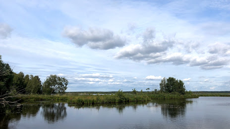 Озеро Сестрорецкий Разлив, Сестрорецк