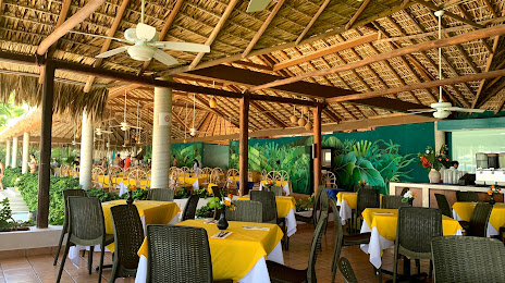 Coconuts Beach Club (Club de Playa Cocos), 