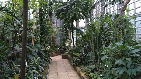 Ботанический сад Университет Фрайбург, 