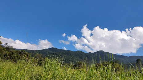 Área de Proteção Ambiental de Cananéia-Iguape-Peruíbe, 