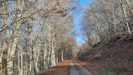 Monte Pidocchina, Pistoia
