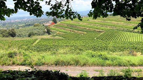 Barone di Villagrande winery, Giarre